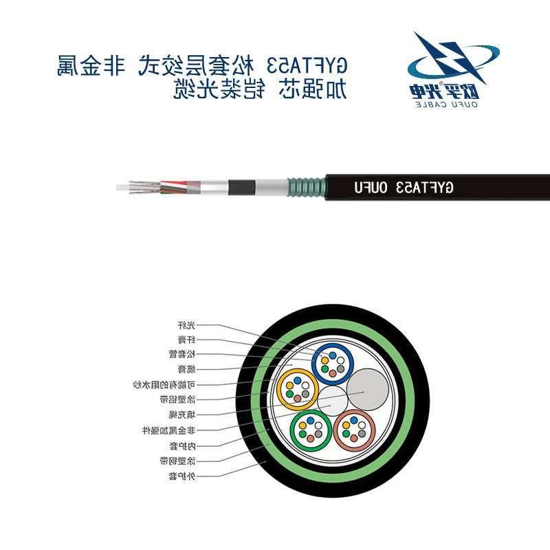 随州市GYFTA53光缆