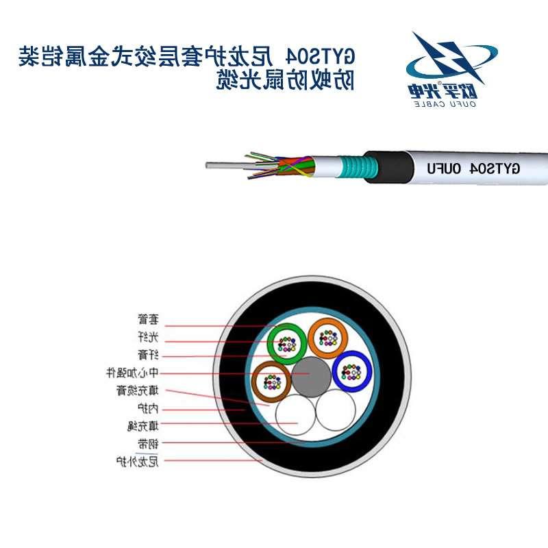 路氹城GYTS04光缆